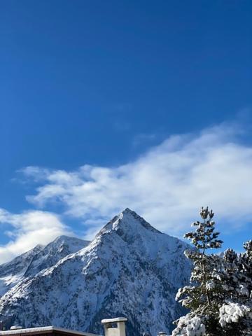 Studio 2 Alpes Style Chalet Au Pied De Telesiege Du Diable 莱德萨阿尔卑斯 外观 照片