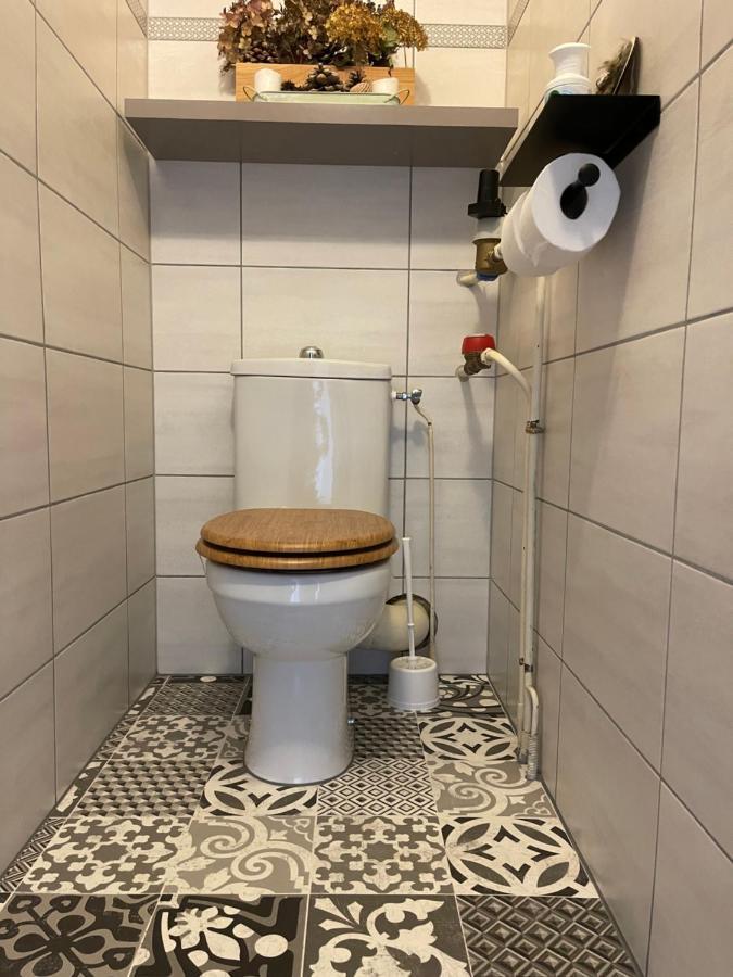 Studio 2 Alpes Style Chalet Au Pied De Telesiege Du Diable 莱德萨阿尔卑斯 外观 照片
