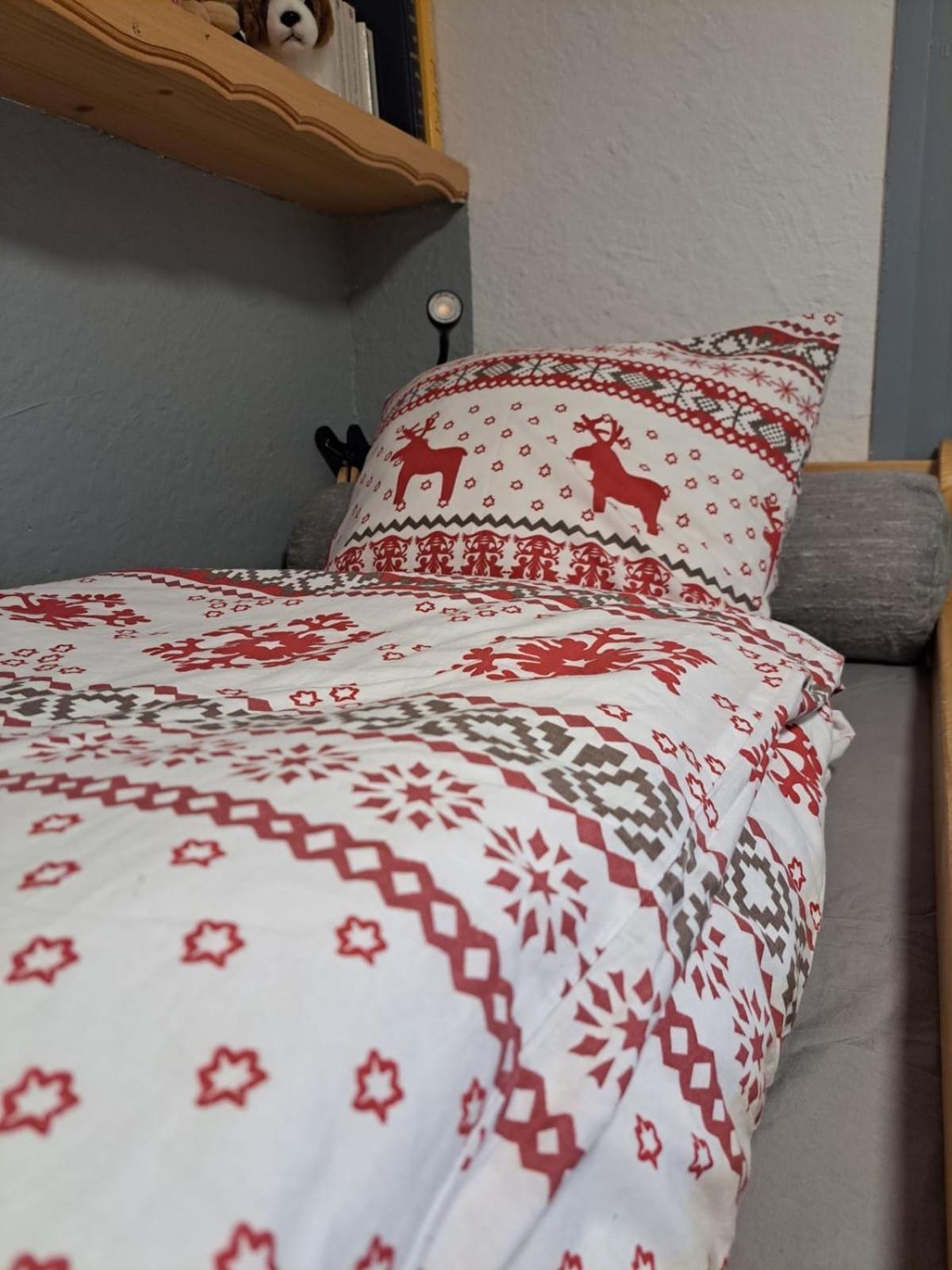 Studio 2 Alpes Style Chalet Au Pied De Telesiege Du Diable 莱德萨阿尔卑斯 外观 照片
