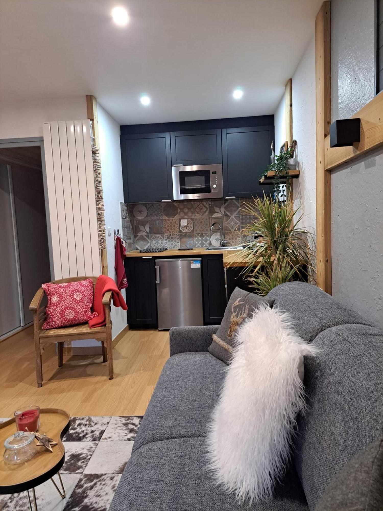 Studio 2 Alpes Style Chalet Au Pied De Telesiege Du Diable 莱德萨阿尔卑斯 外观 照片