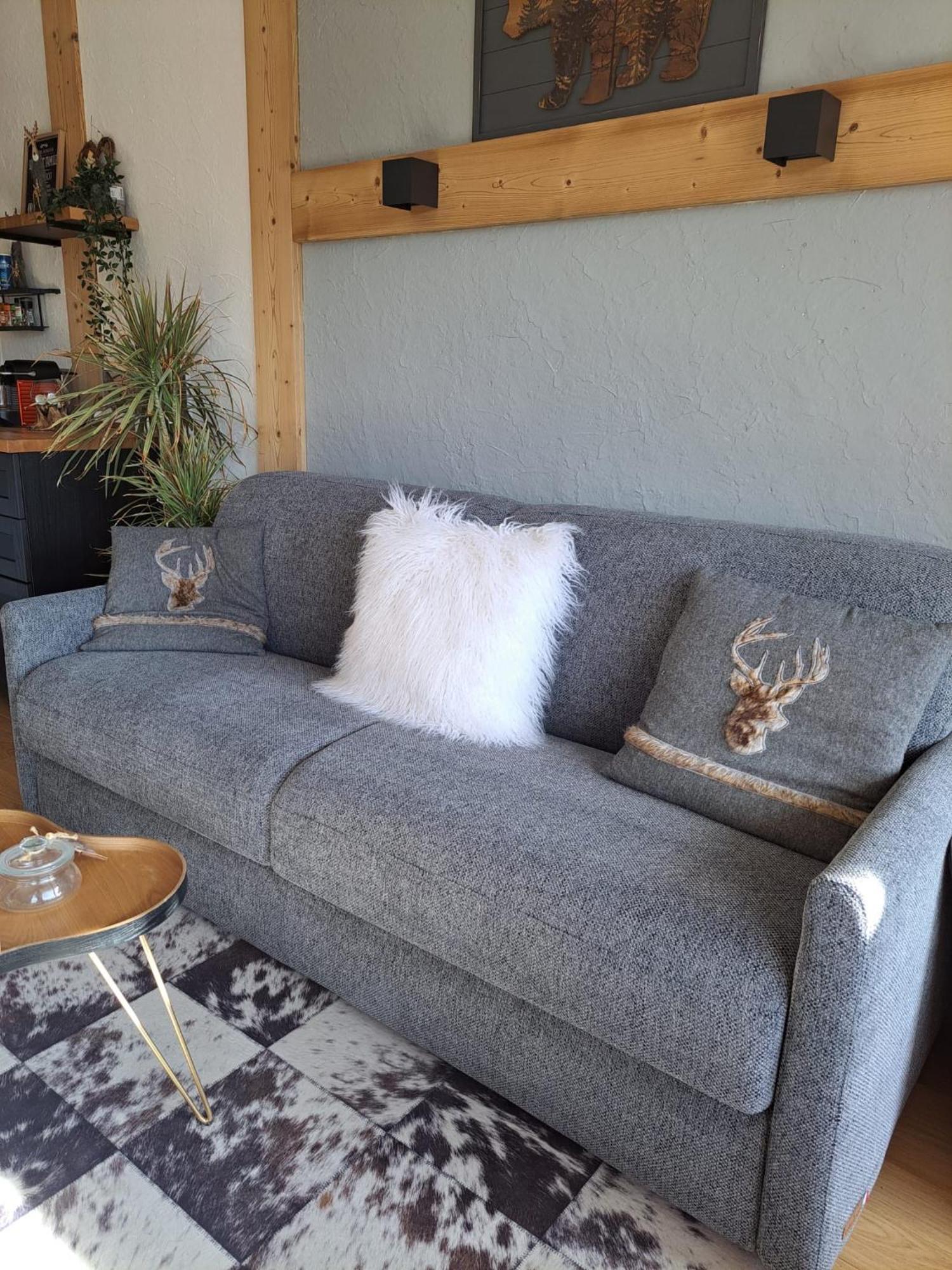 Studio 2 Alpes Style Chalet Au Pied De Telesiege Du Diable 莱德萨阿尔卑斯 外观 照片